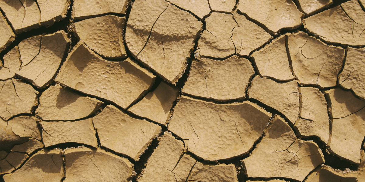 An image of cracked dry clay soil with its surface broken into irregular pieces.